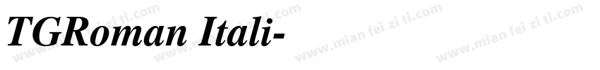 TGRoman Itali字体转换